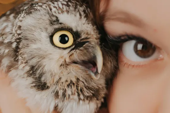 BoaBoa Casino Supporto